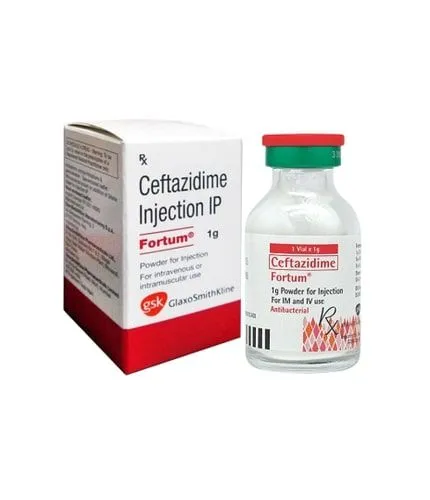 Fortum 1gm Injection 1 vial
