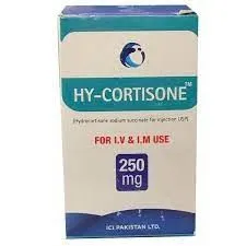Hy-Cortisone 250mg Injection 1 S