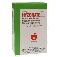 Hyzonate 250mg Injection 1 vial