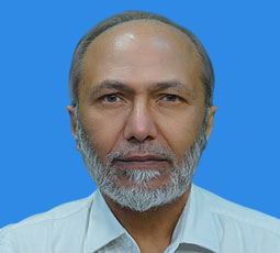 Dr. Arjamand Shouk